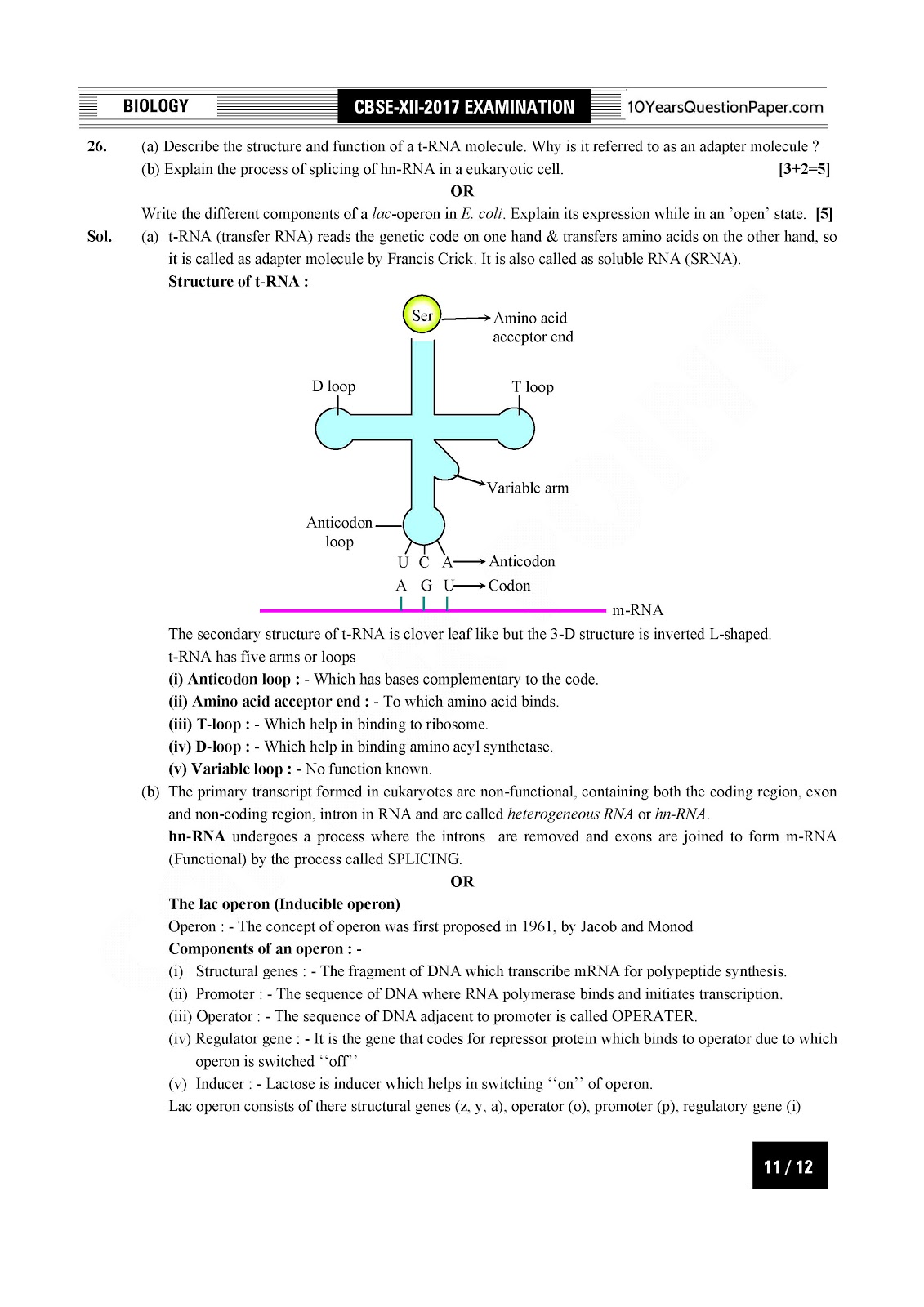 CBSE Class 12 Biology 2017 Solved Paper