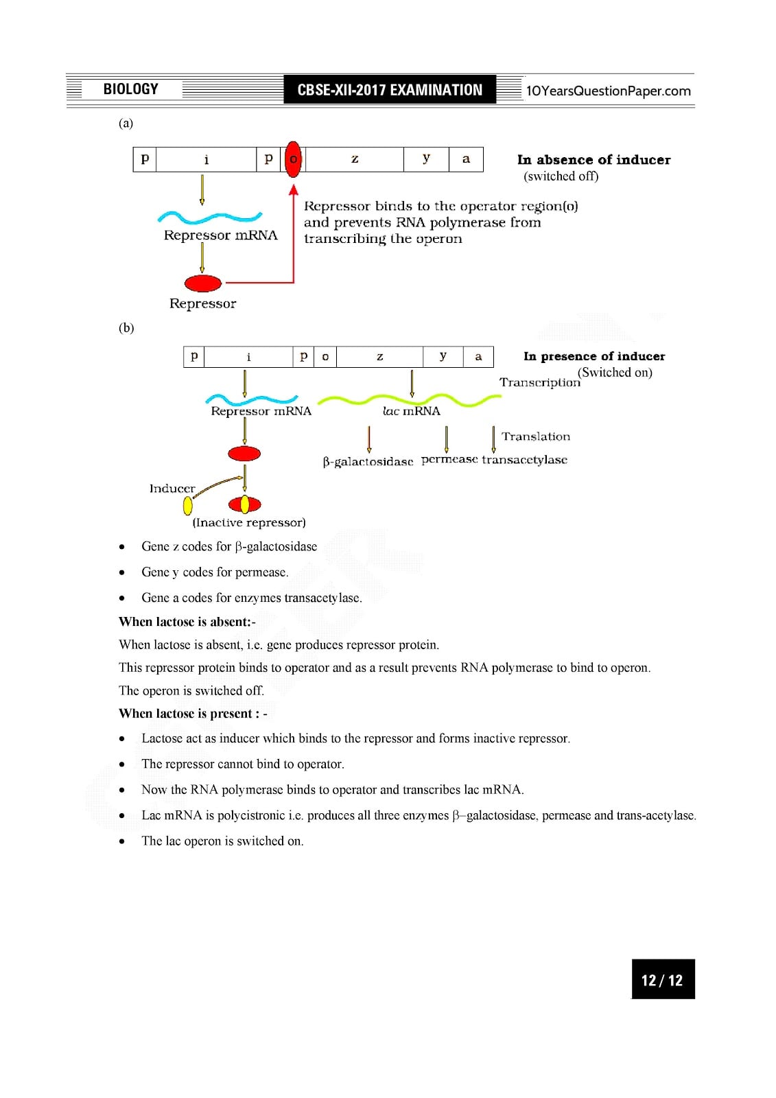 CBSE Class 12 Biology 2017 Solved Paper