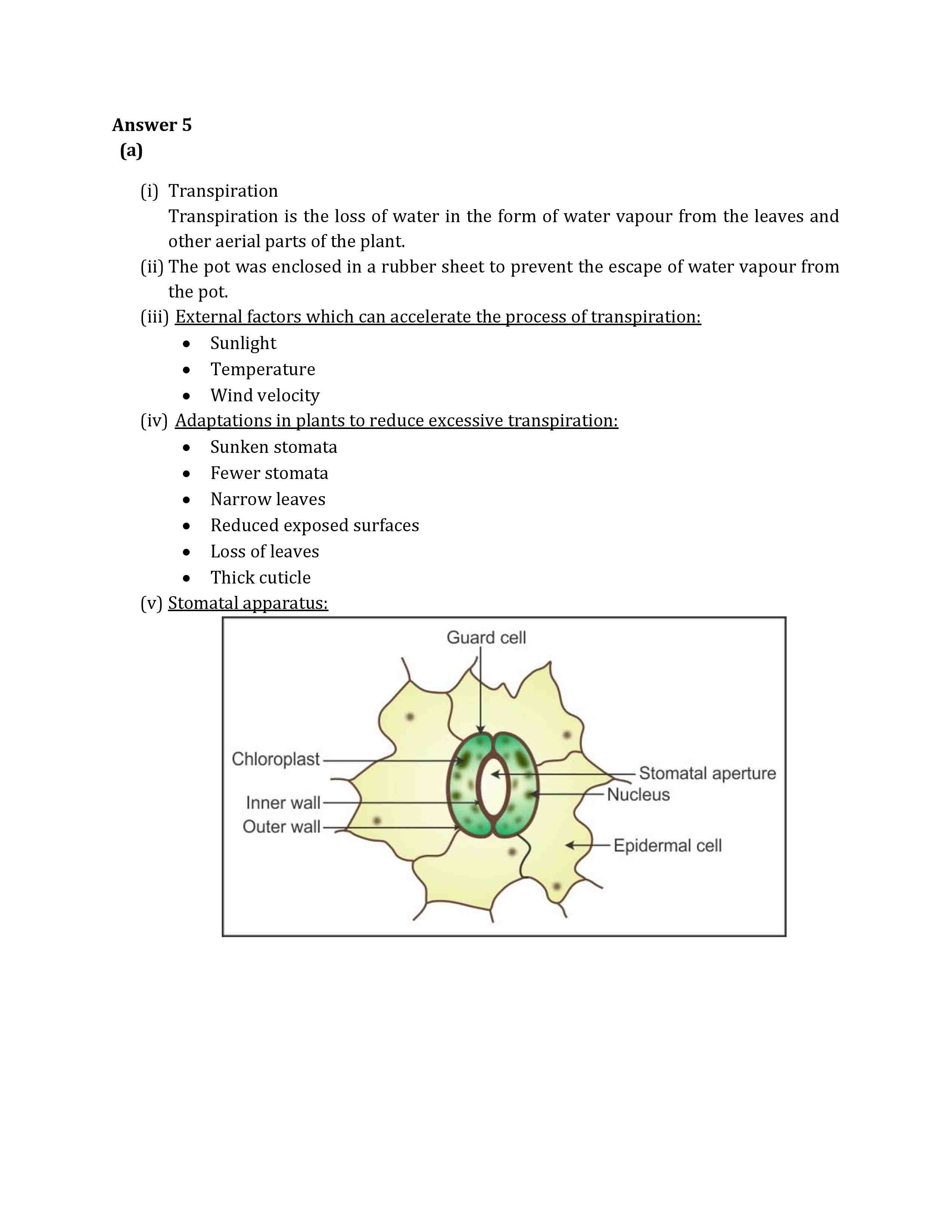 ICSE Class 10 Biology 2019 Solved Paper