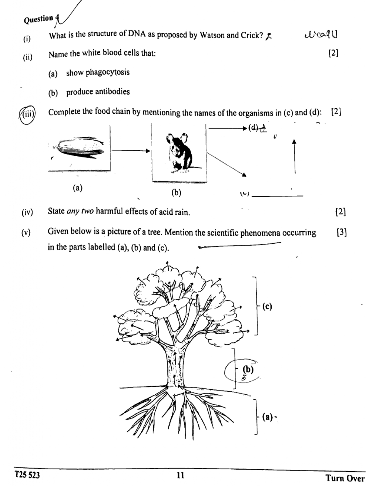 ICSE Class 10 Biology Question Paper 2025 Solved PDF Download — page 11