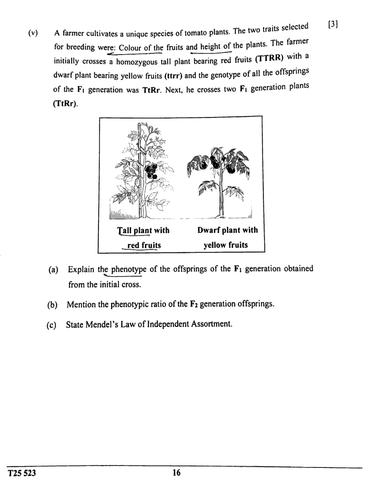 ICSE Class 10 Biology Question Paper 2025 Solved PDF Download — page 16