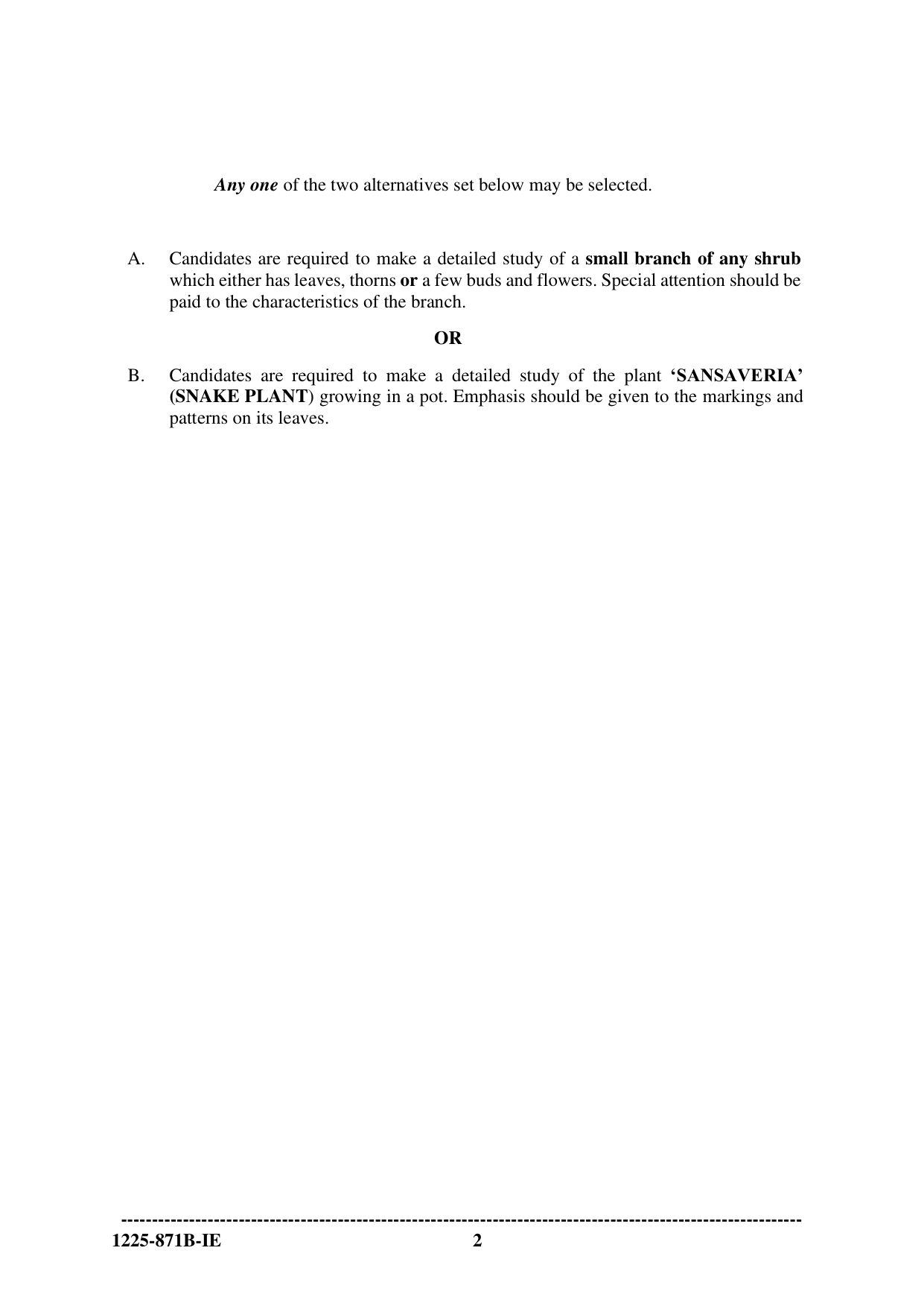 ISC 2025 Art Paper 2 Improvement Examination Question Paper for Class 12 — page 2