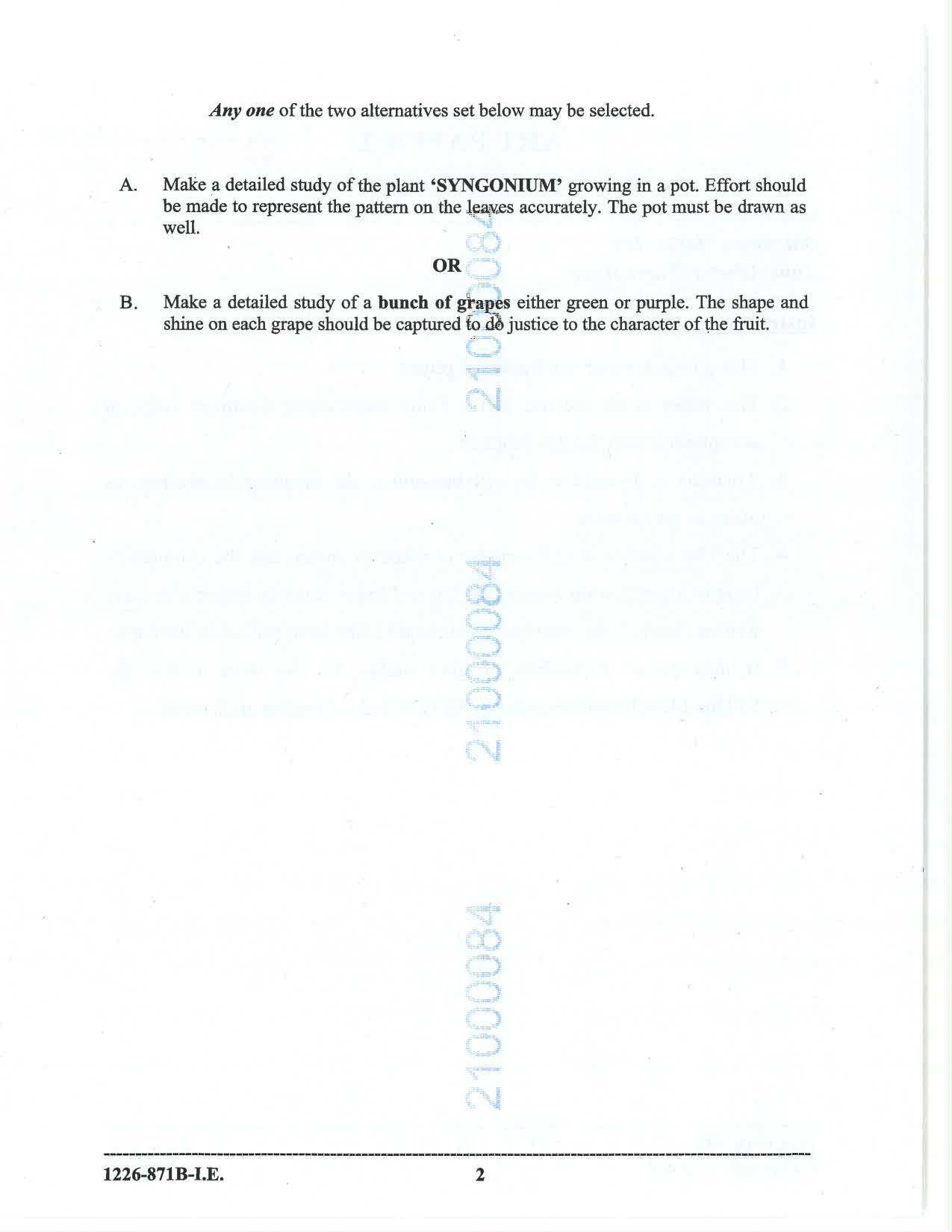 ISC 2026 Art Paper 2 Improvement Examination Question Paper for Class 12 — page 2