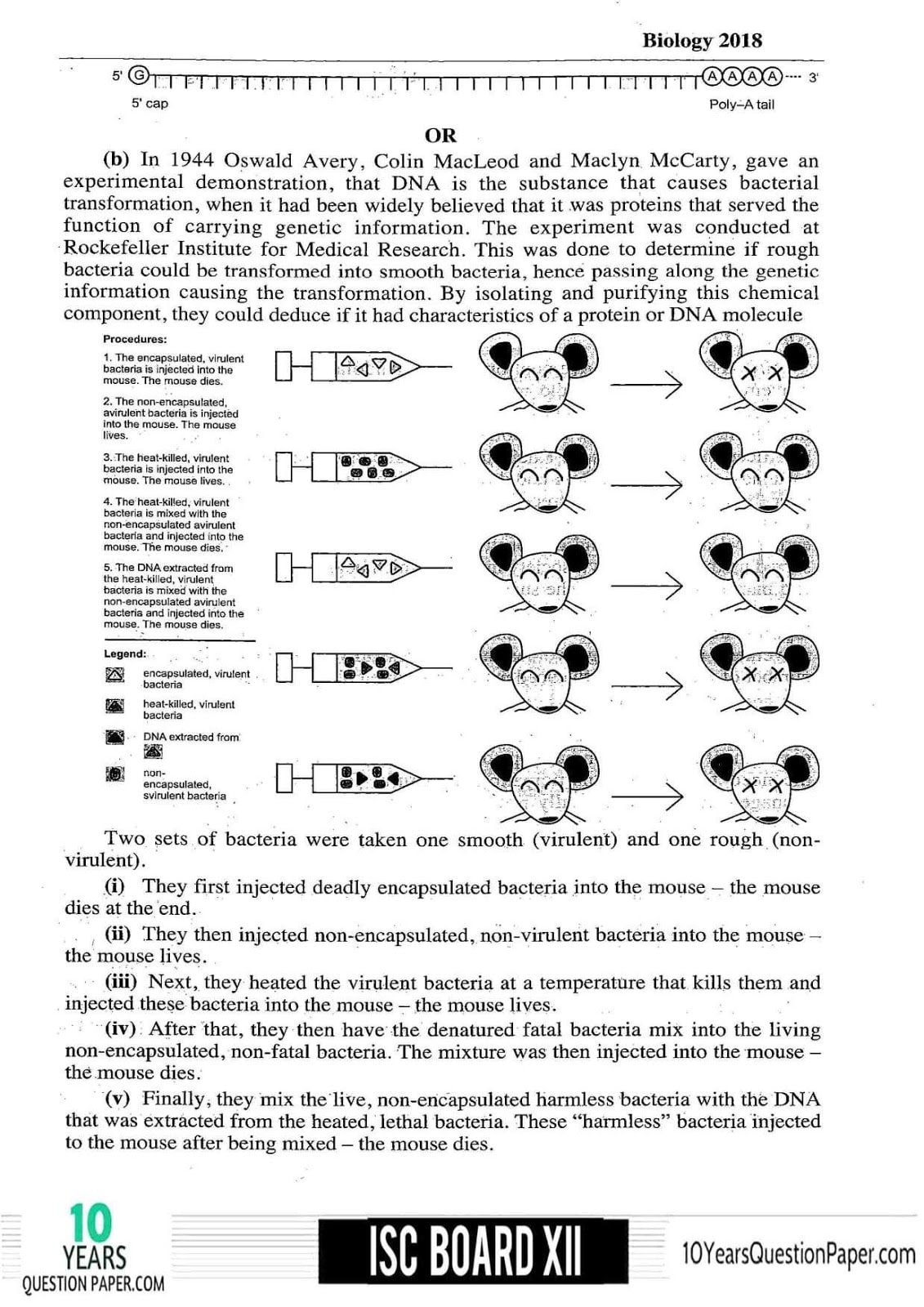 ISC Class 12 Biology Solved 2018 Question Paper