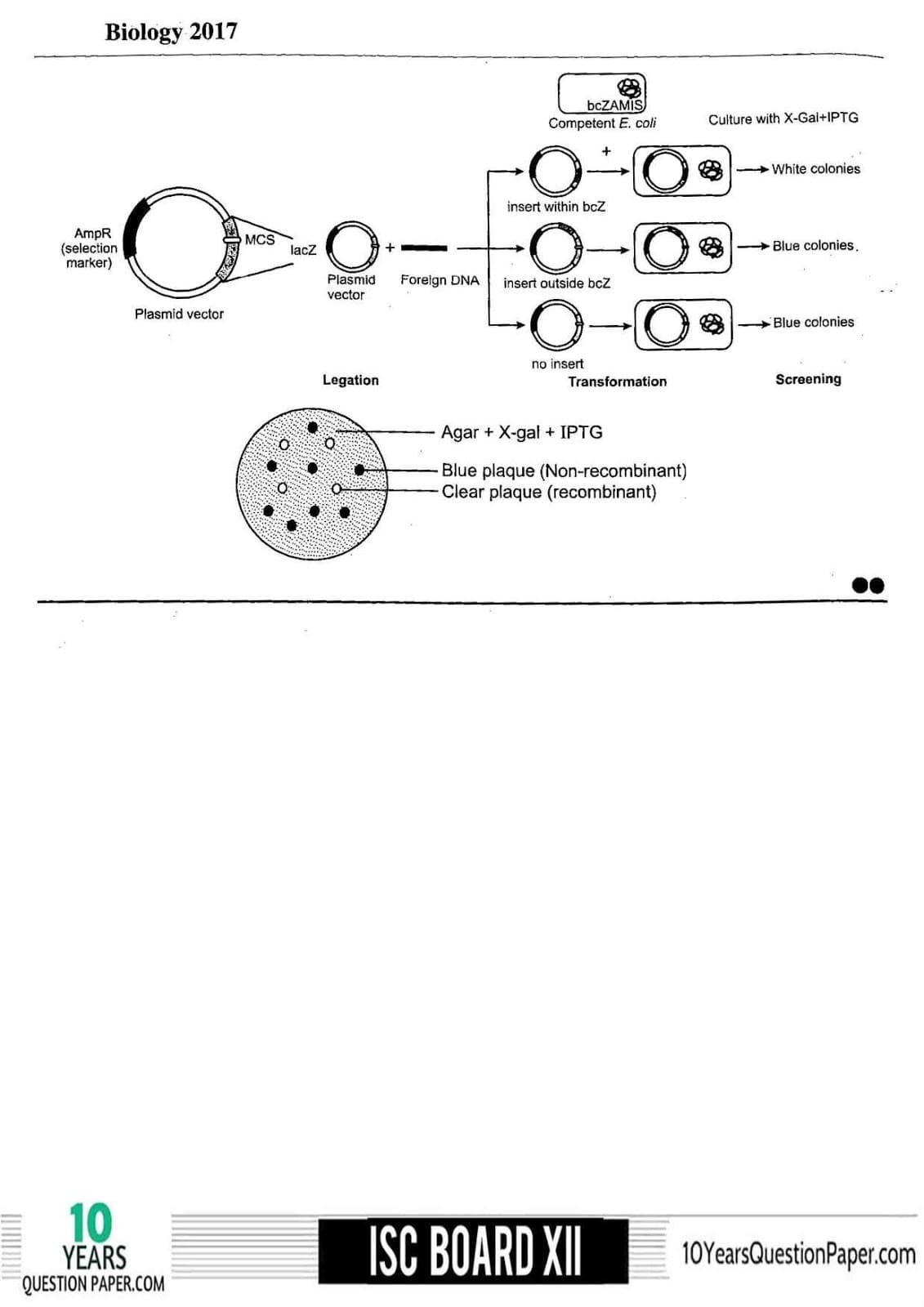 ISC Class 12 Biology Solved 2018 Question Paper