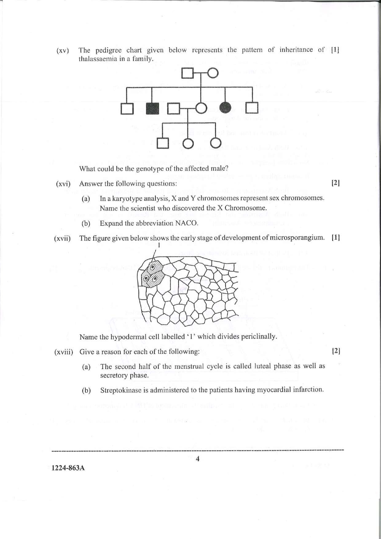 ISC 2024 Biology Question Paper for Class 12 — page 4