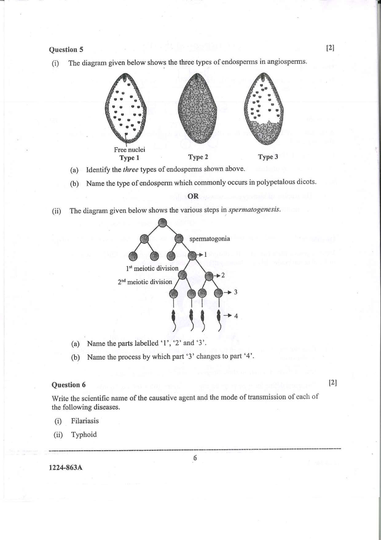 ISC 2024 Biology Question Paper for Class 12 — page 6
