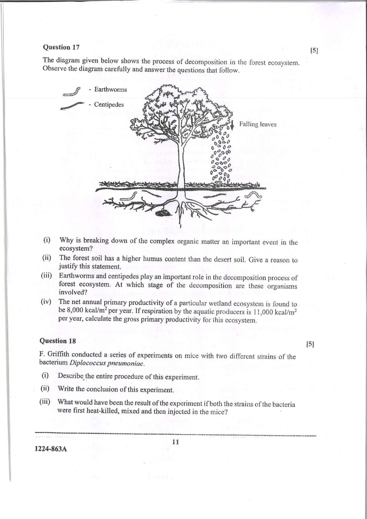 ISC 2024 Biology Question Paper for Class 12 — page 11