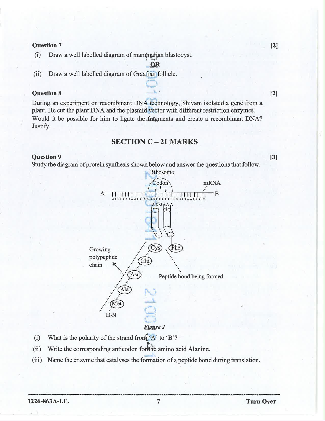 ISC 2026 Biology Improvement Examination Question Paper for Class 12 — page 7