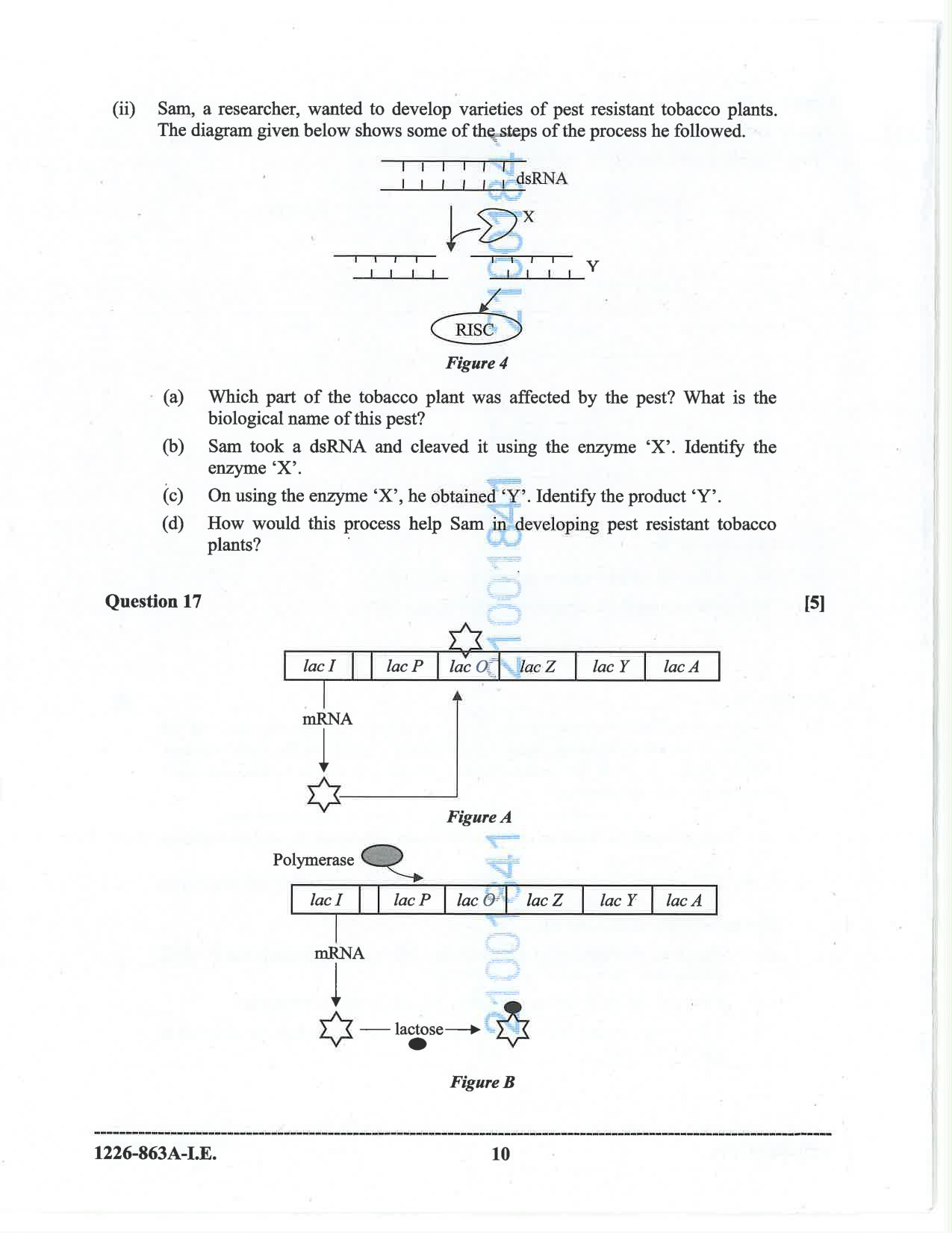 ISC 2026 Biology Improvement Examination Question Paper for Class 12 — page 10