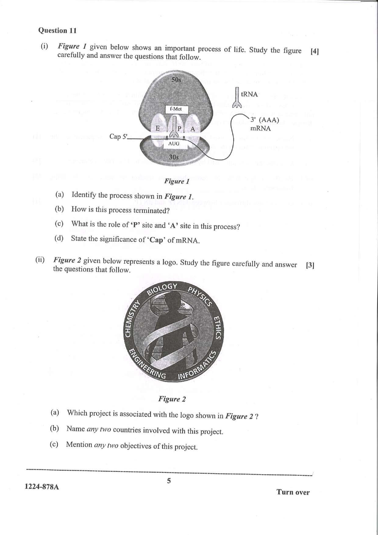 ISC 2024 Biotechnology Question Paper for Class 12 — page 5