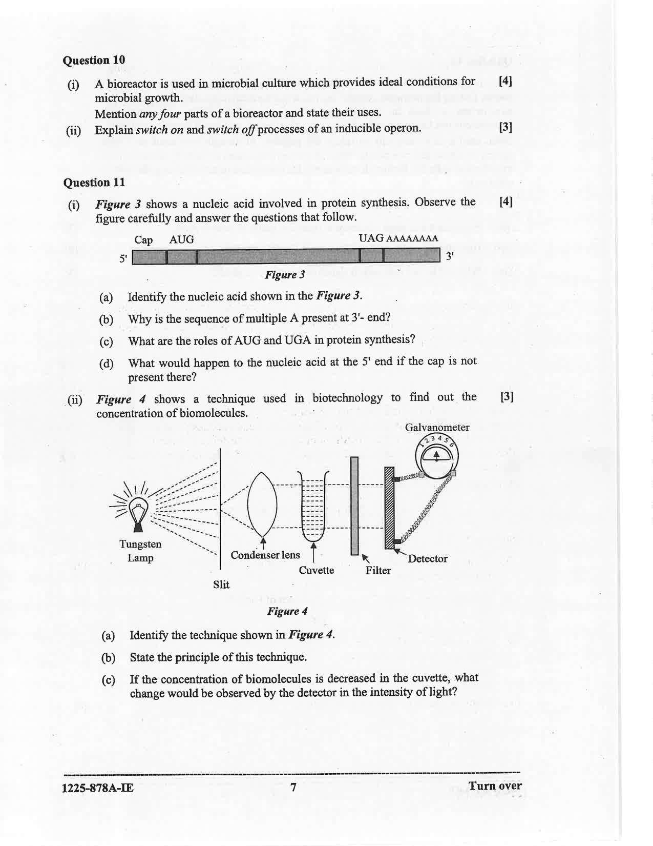 ISC 2025 Biotechnology Improvement Examination Question Paper for Class 12 — page 7