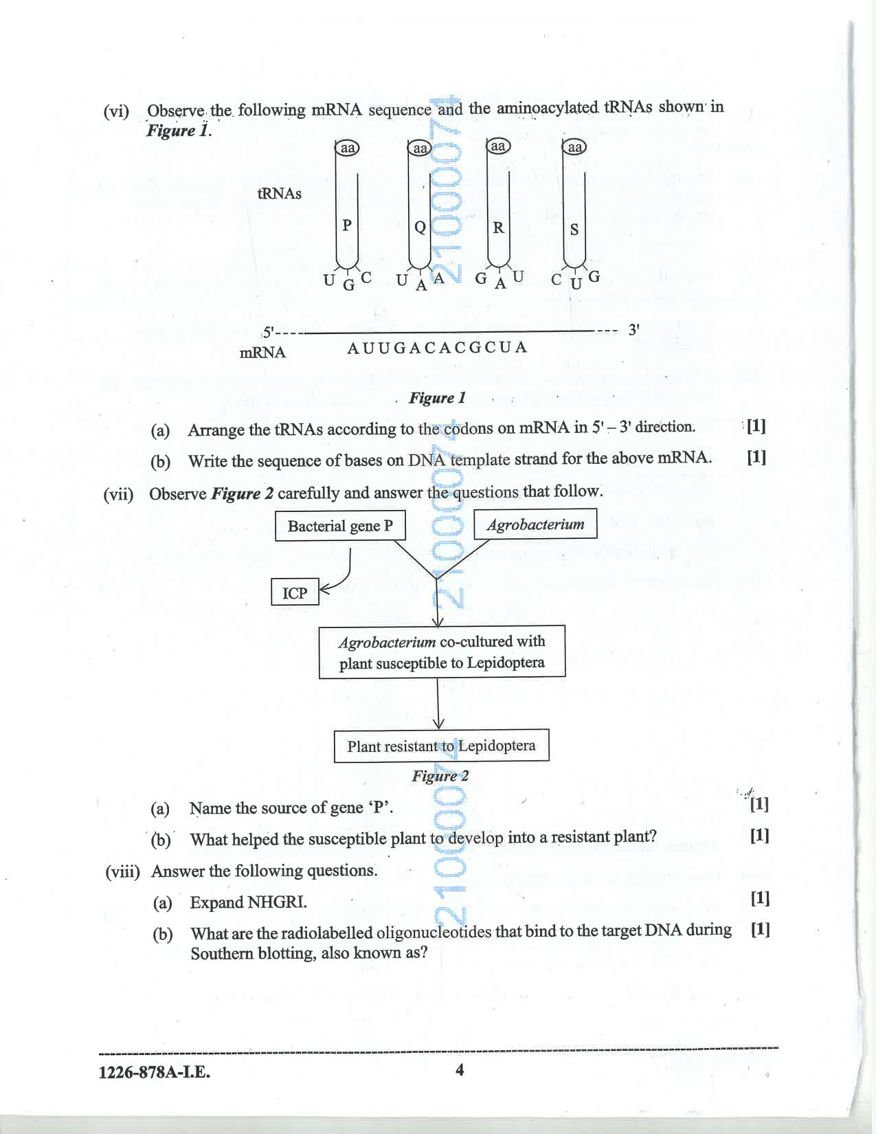 ISC 2026 Biotechnology Improvement Examination Question Paper for Class 12 — page 4