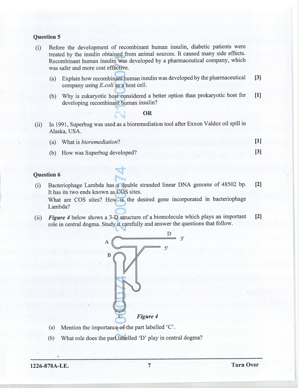 ISC 2026 Biotechnology Improvement Examination Question Paper for Class 12 — page 7