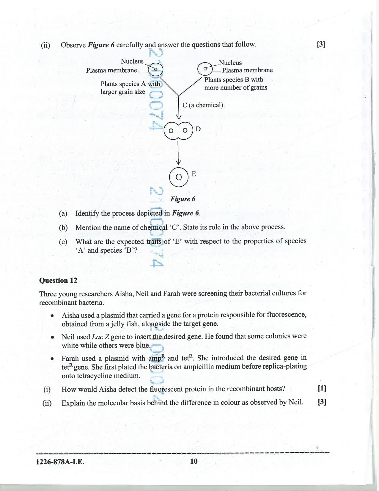 ISC 2026 Biotechnology Improvement Examination Question Paper for Class 12 — page 10
