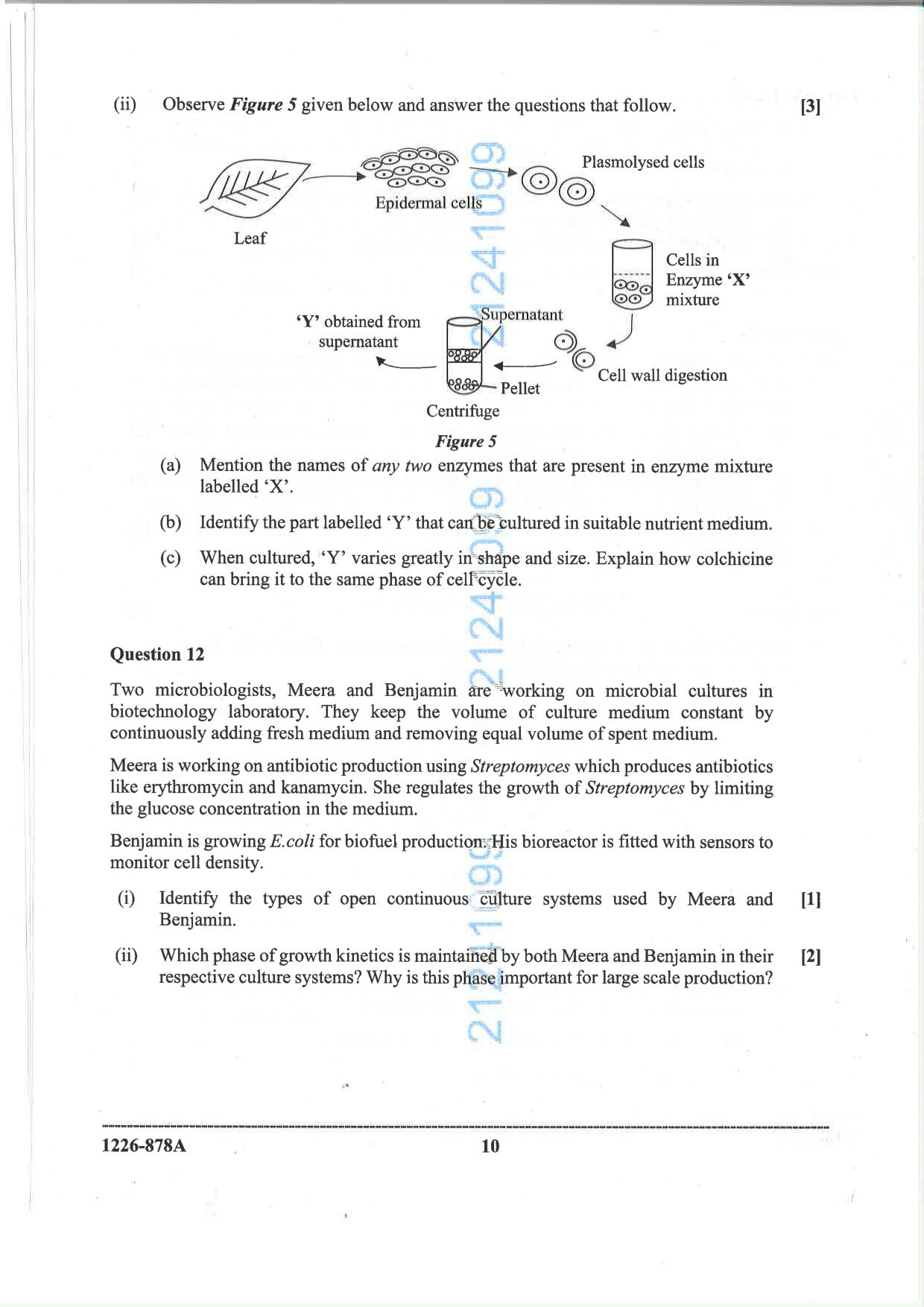ISC 2026 Biotechnology Question Paper for Class 12 — page 10