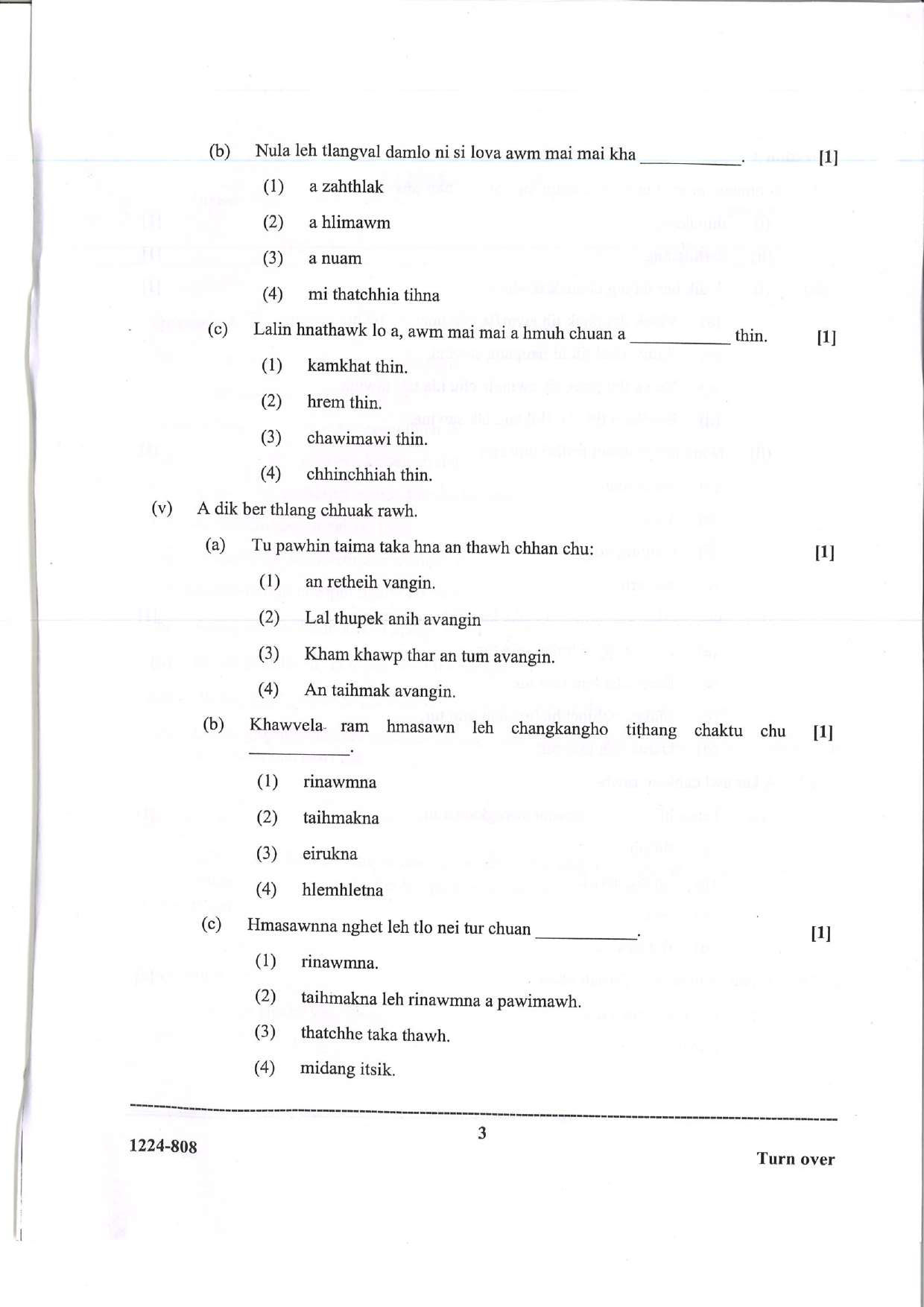 ISC 2024 Mizo Question Paper for Class 12 — page 3