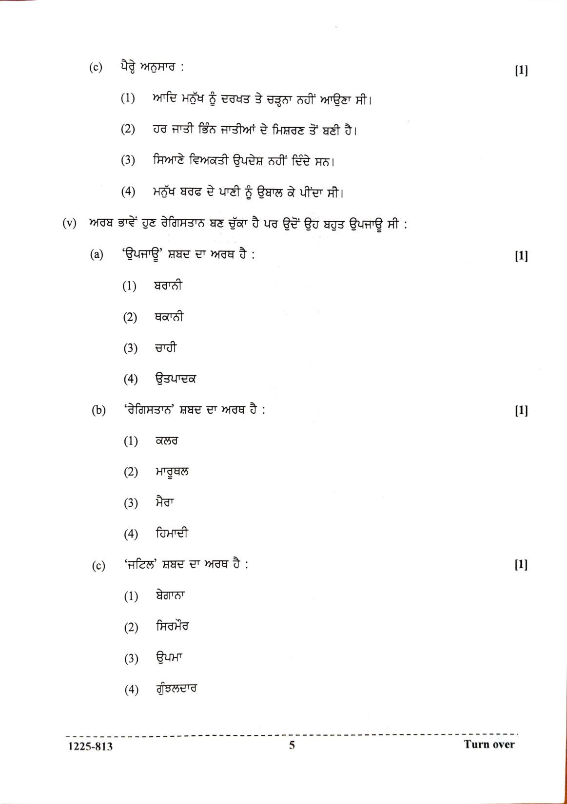 ISC 2025 Punjabi Question Paper for Class 12 — page 5