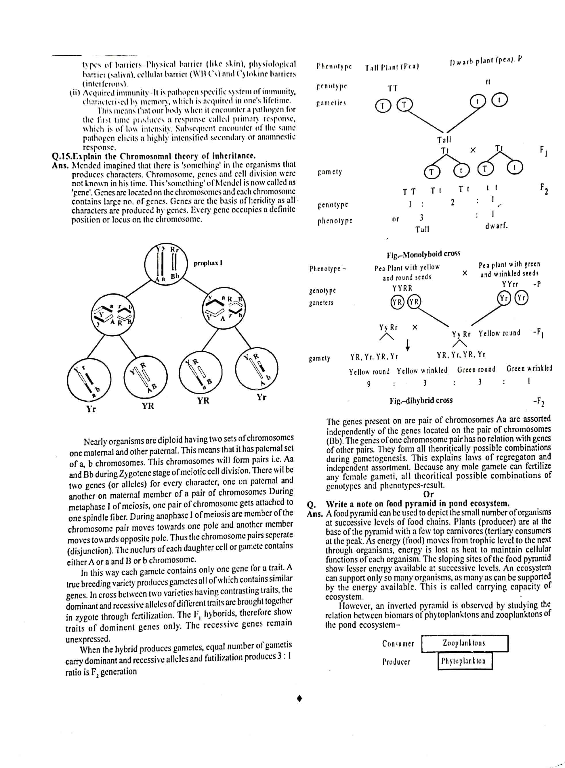 JAC Class 12 Biology Question Paper 2012 with Solution — page 4
