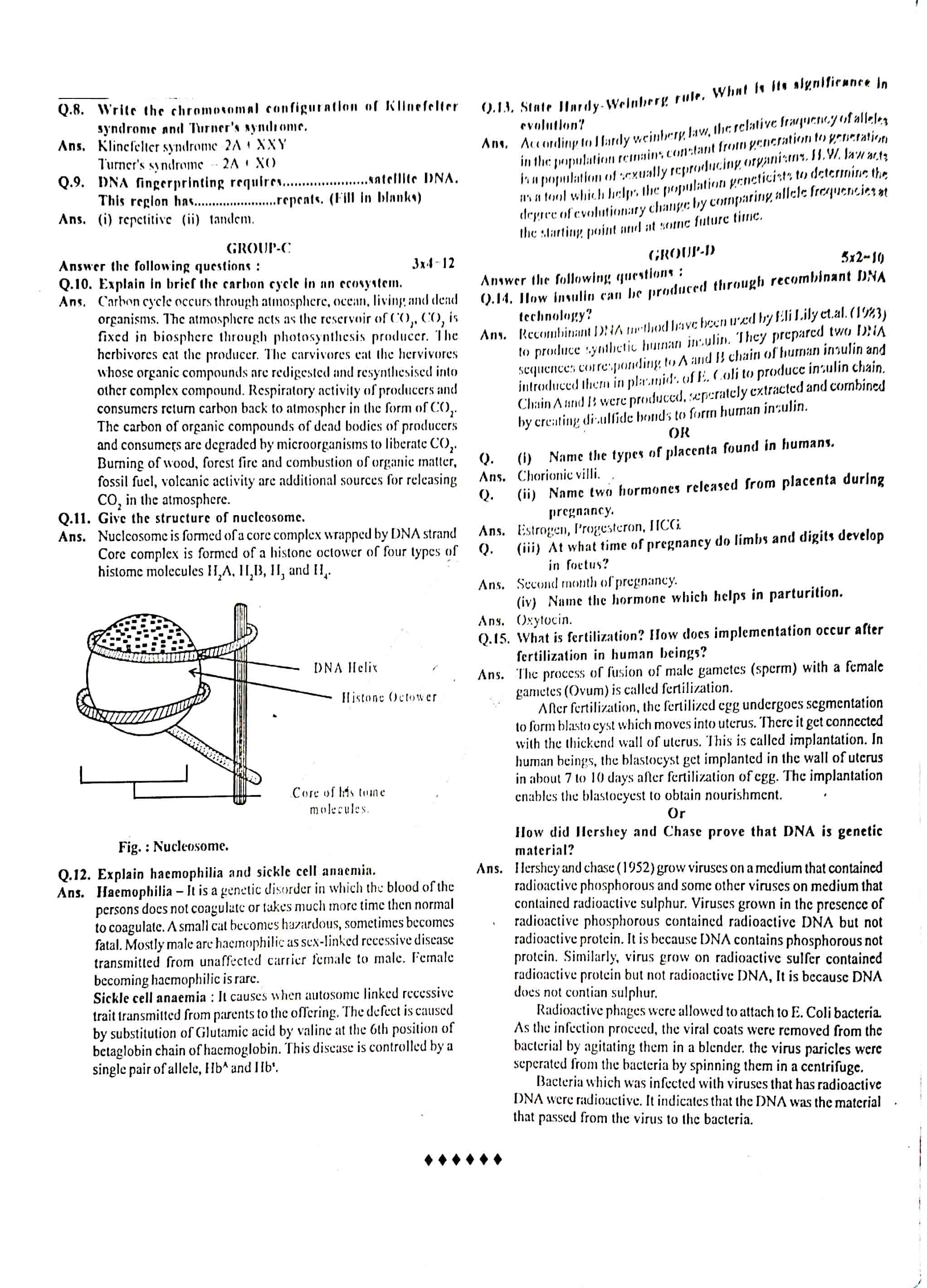 JAC Class 12 Biology Question Paper 2013 with Solution — page 3
