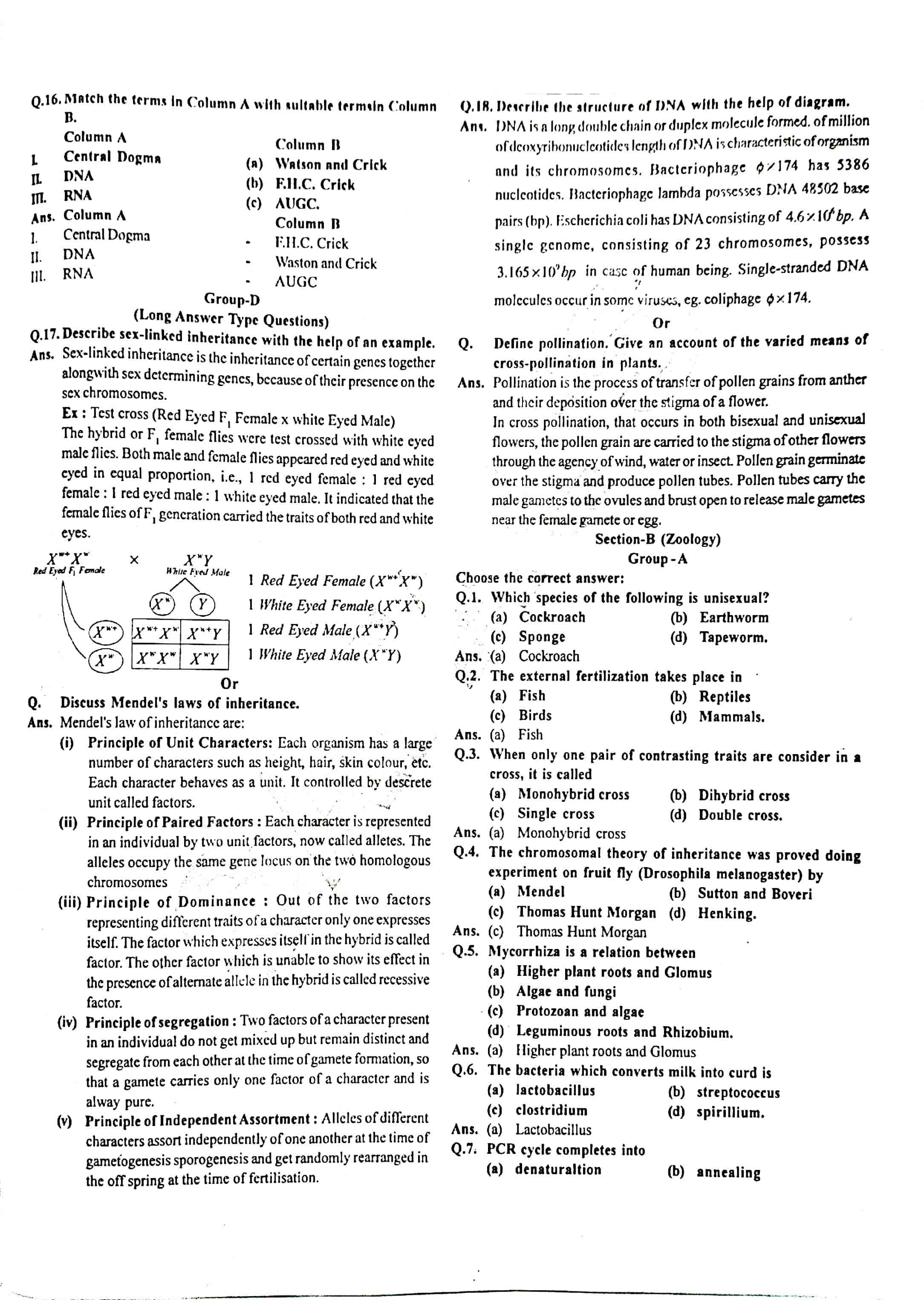 JAC Class 12 Biology Question Paper 2016 with Solution — page 2