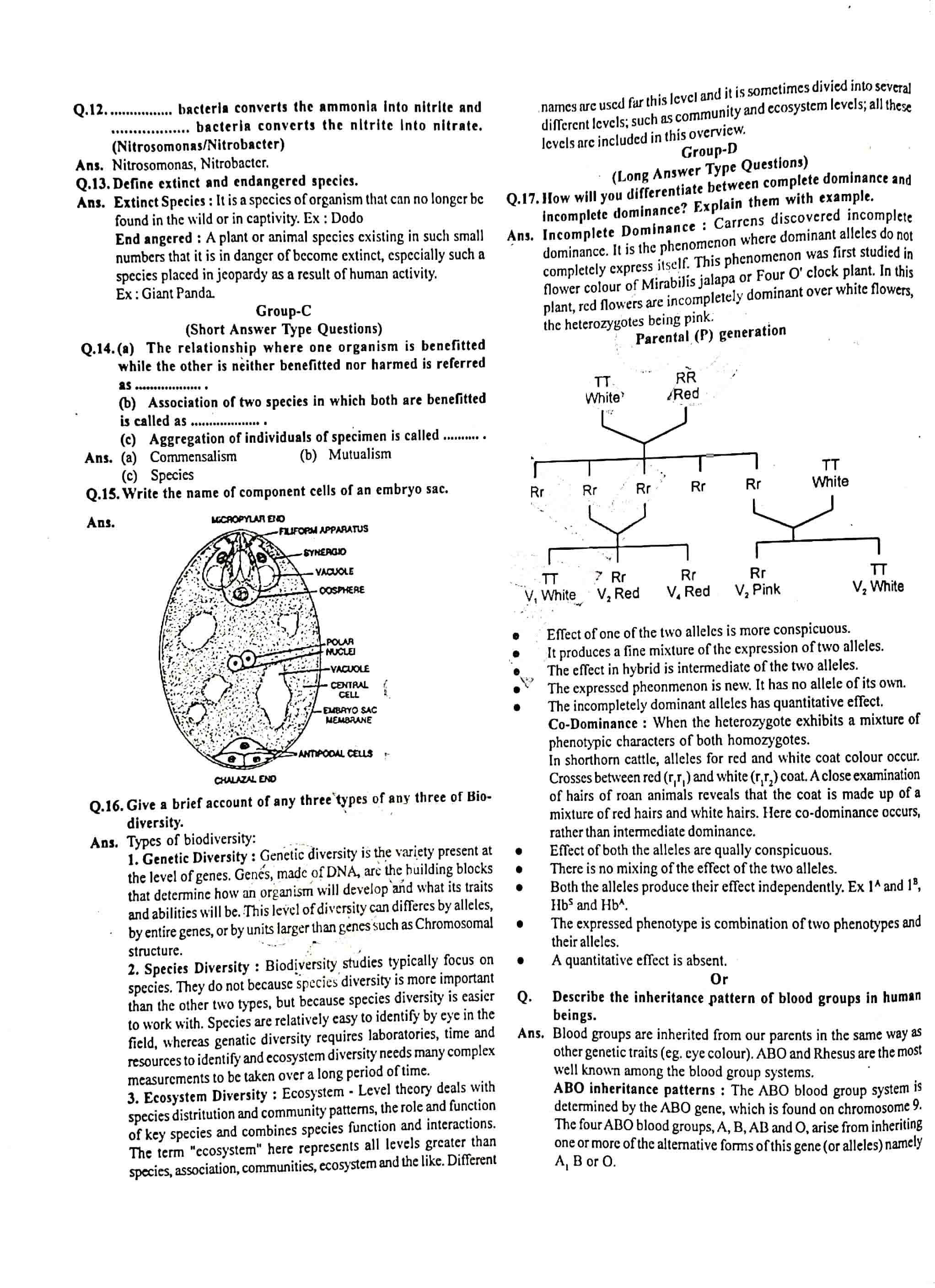 JAC Class 12 Biology Question Paper 2017 with Solution — page 2