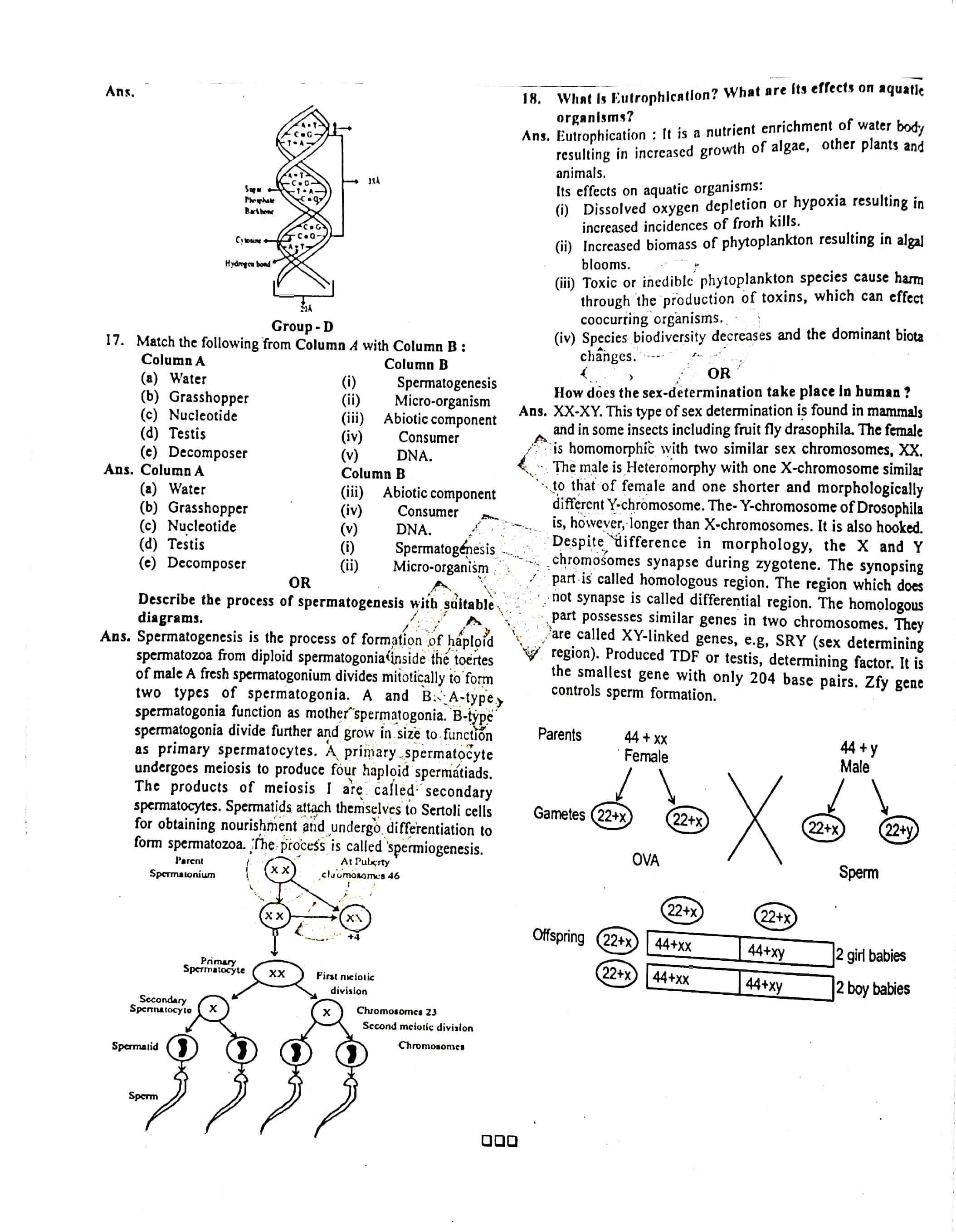 JAC Class 12 Biology Question Paper 2018 with Solution — page 4