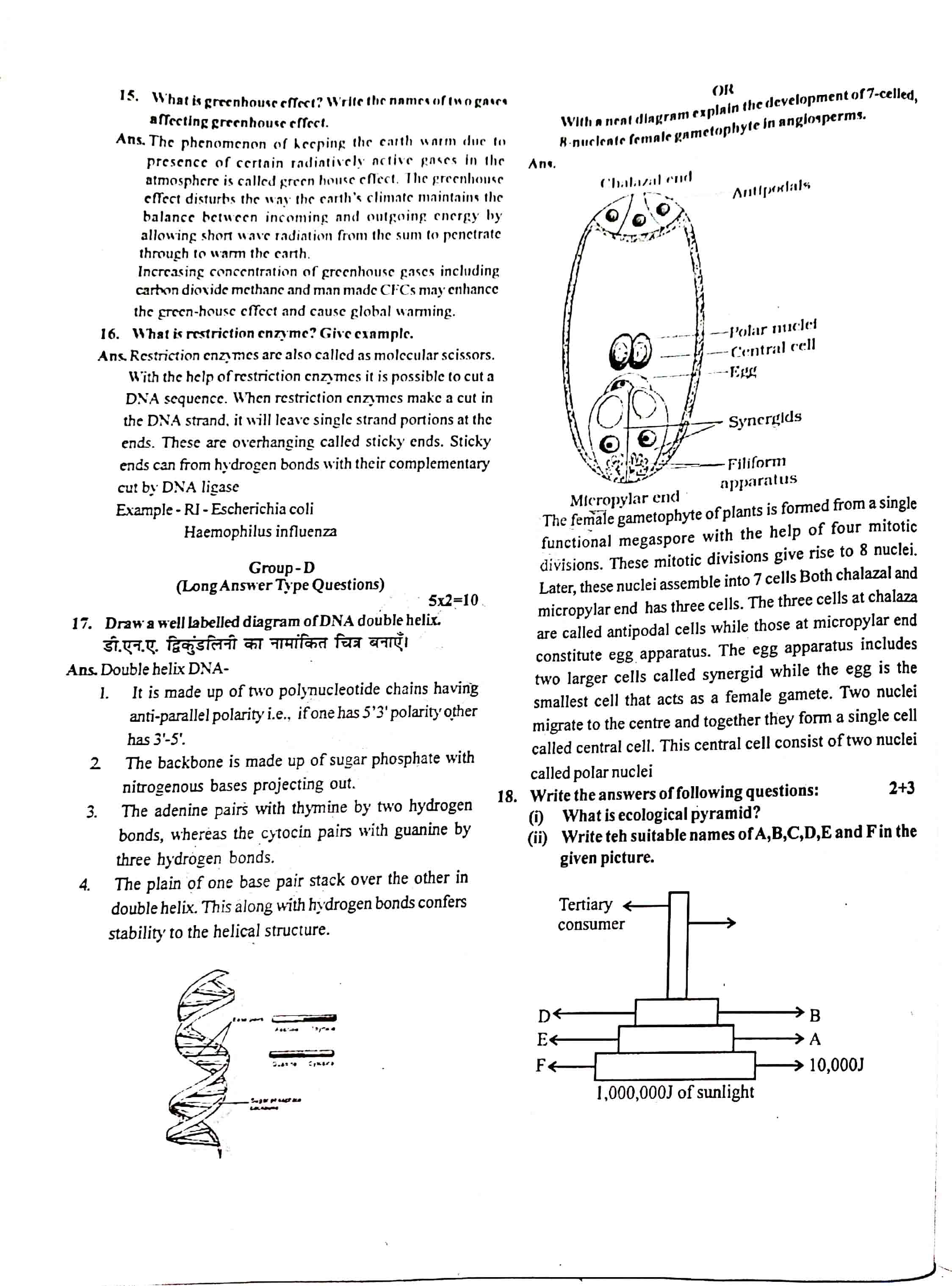 JAC Class 12 Biology Question Paper 2020 with Solution — page 2