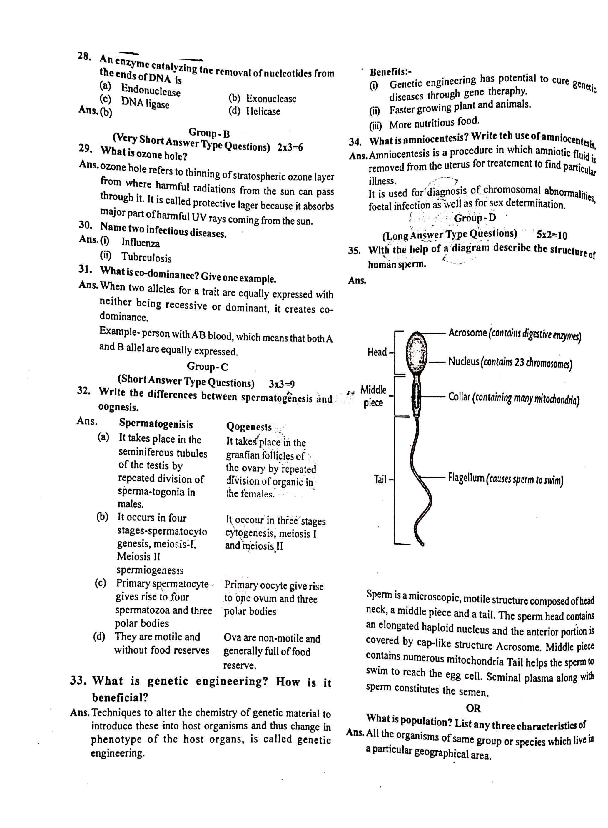 JAC Class 12 Biology Question Paper 2020 with Solution — page 4