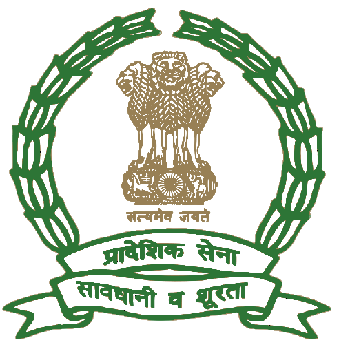 Indian Territorial Army logo